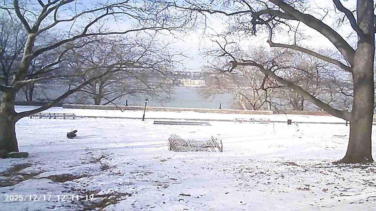 Mini-Fotocamera NatureCosmos | 🪨 | 🧱 | 🍃 | ❄️