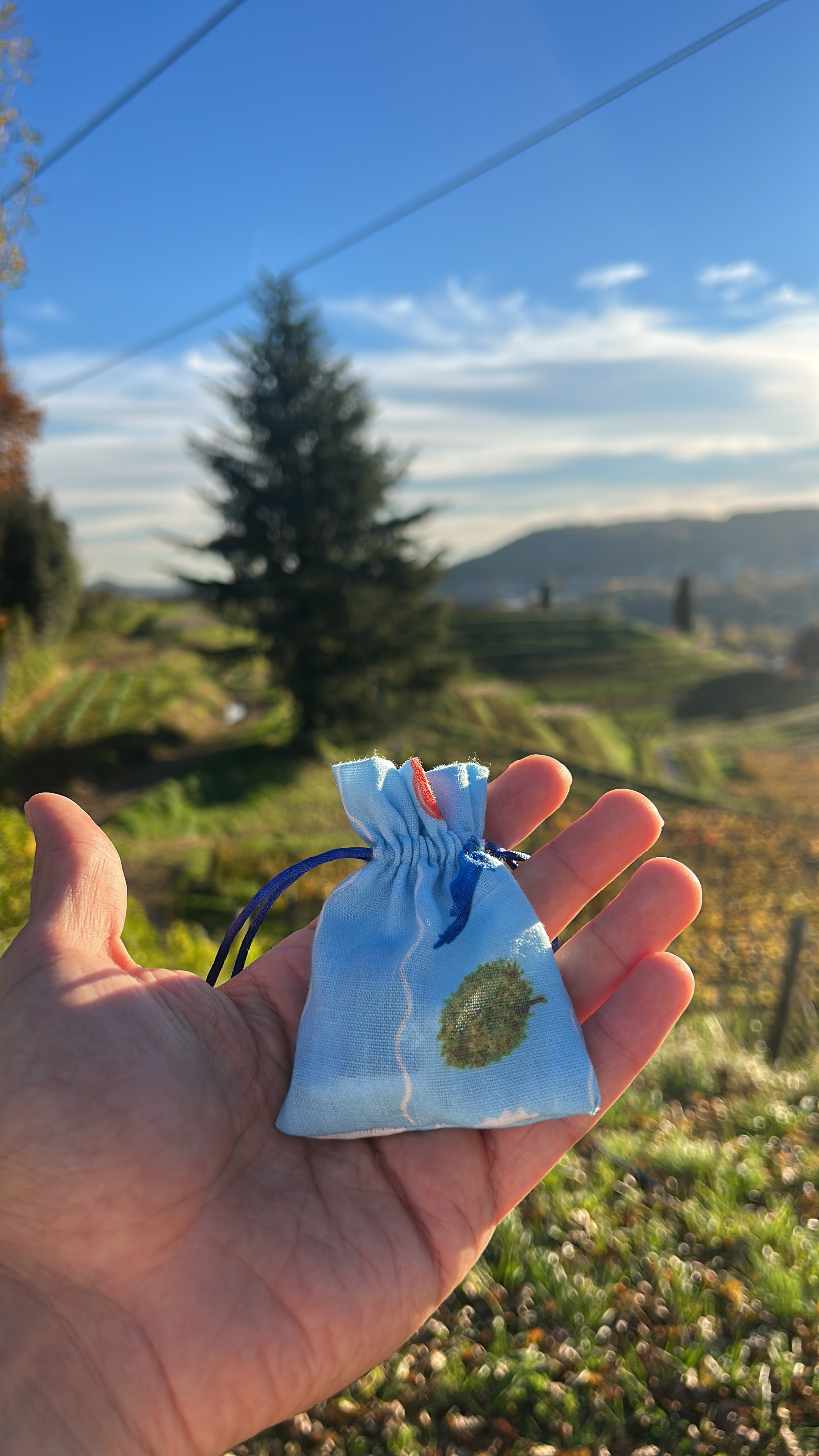 Handmade "Parrot" Pouch Blue - Made in Italy